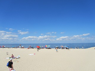 b0209691_136272.jpg