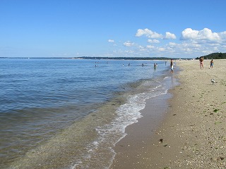 b0209691_1364661.jpg