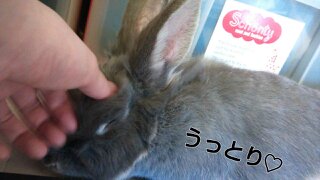 c0322903_00004620.jpg