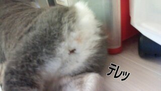 c0322903_00011843.jpg