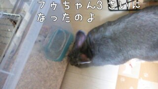 c0322903_00034015.jpg