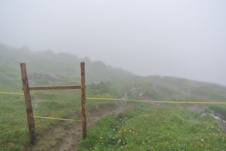 c0242406_1735528.jpg