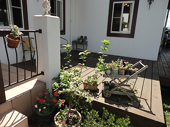 e0230011_1741072.jpg