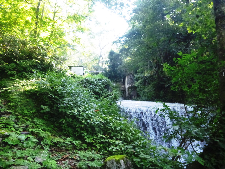 d0170615_9561943.jpg