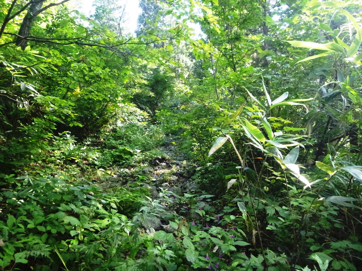 d0170615_9563157.jpg