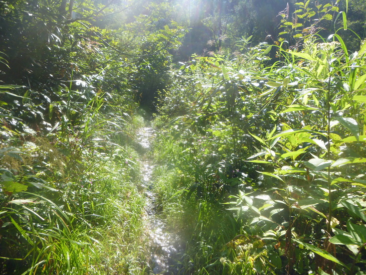 d0170615_9564380.jpg