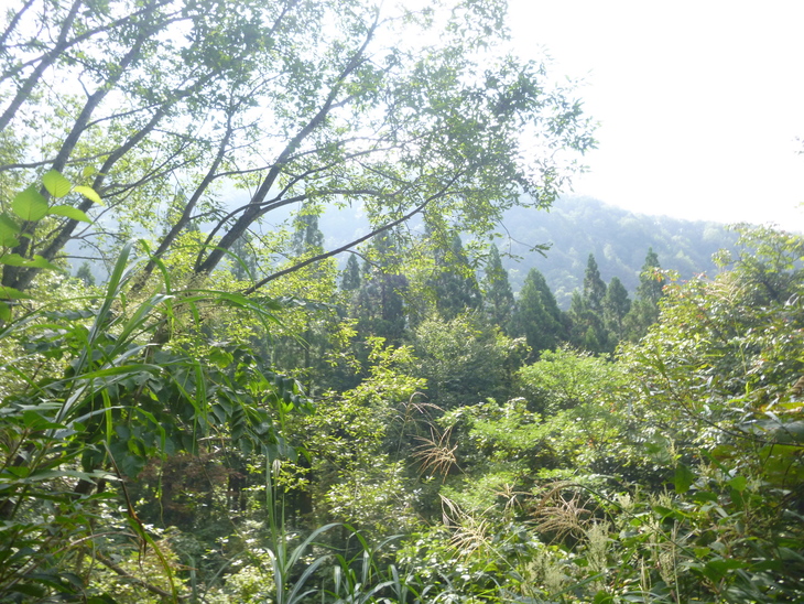 d0170615_9565698.jpg