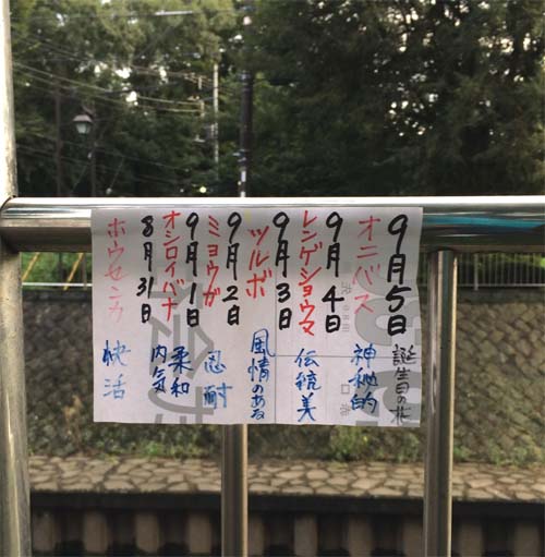 誕生花の人、謎は深まる…_e0023517_12115755.jpg