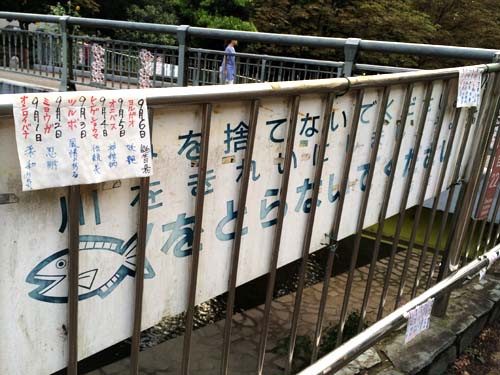 誕生花の人、謎は深まる…_e0023517_12151753.jpg