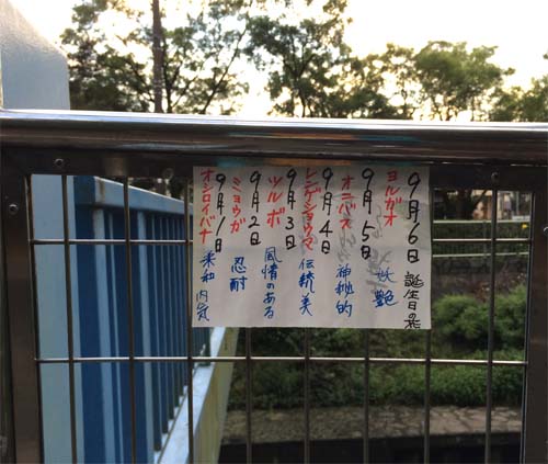 誕生花の人、謎は深まる…_e0023517_129233.jpg