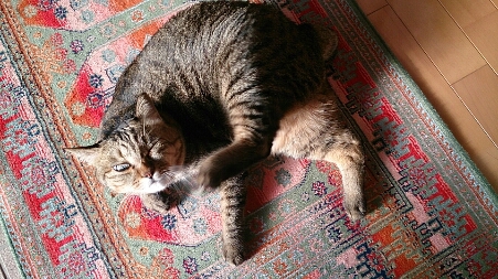 f0220919_8424085.jpg