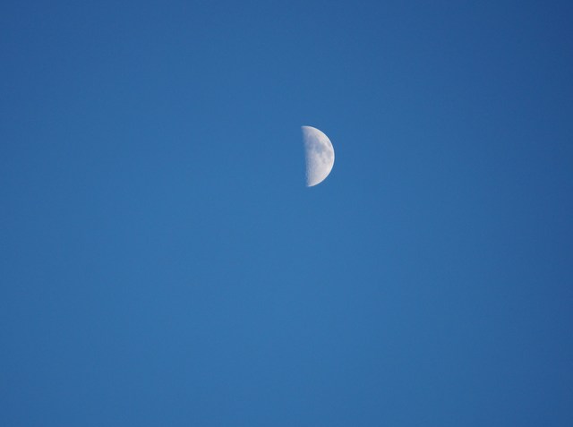 e0244024_146349.jpg