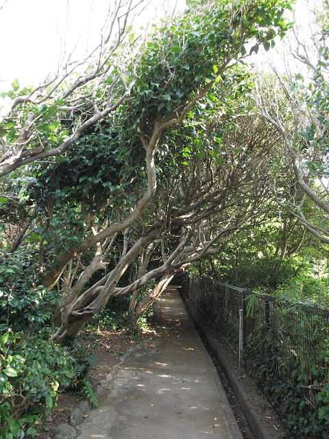 e0303726_00572.jpg