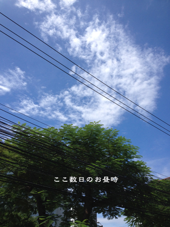 d0042827_2305215.jpg