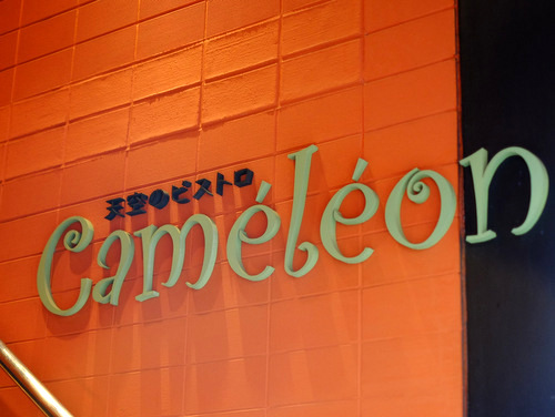 「浅草橋 Cameleon(カメレオン)のさわらランチ」_a0000029_21353960.jpg