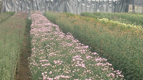 e0120932_1322647.jpg