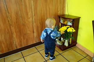 f0224632_8371342.jpg