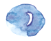 e0255037_9214230.gif