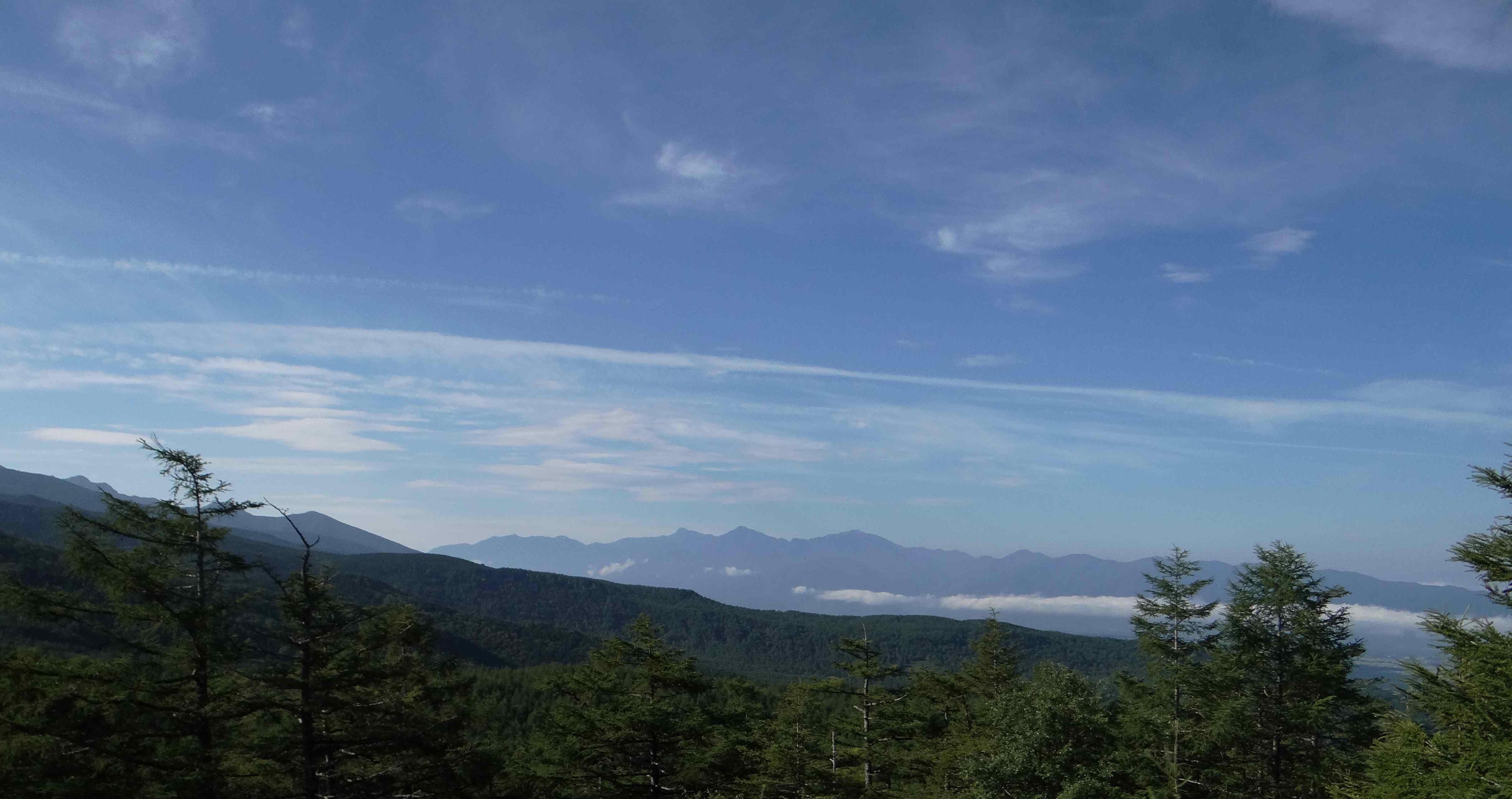 クモガタヒョウモン他 9月6日北八ヶ岳周辺にて_d0254540_18371375.jpg