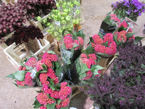 c0232541_22594025.jpg