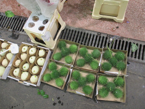 c0232541_233378.jpg