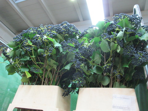 c0232541_238259.jpg