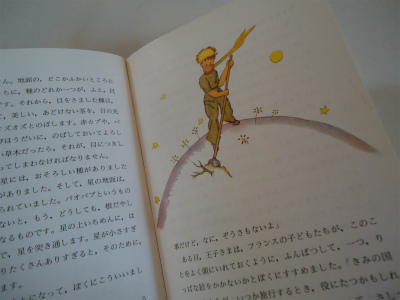 「星の王子さま」のバオバブの木_a0161943_2232461.jpg