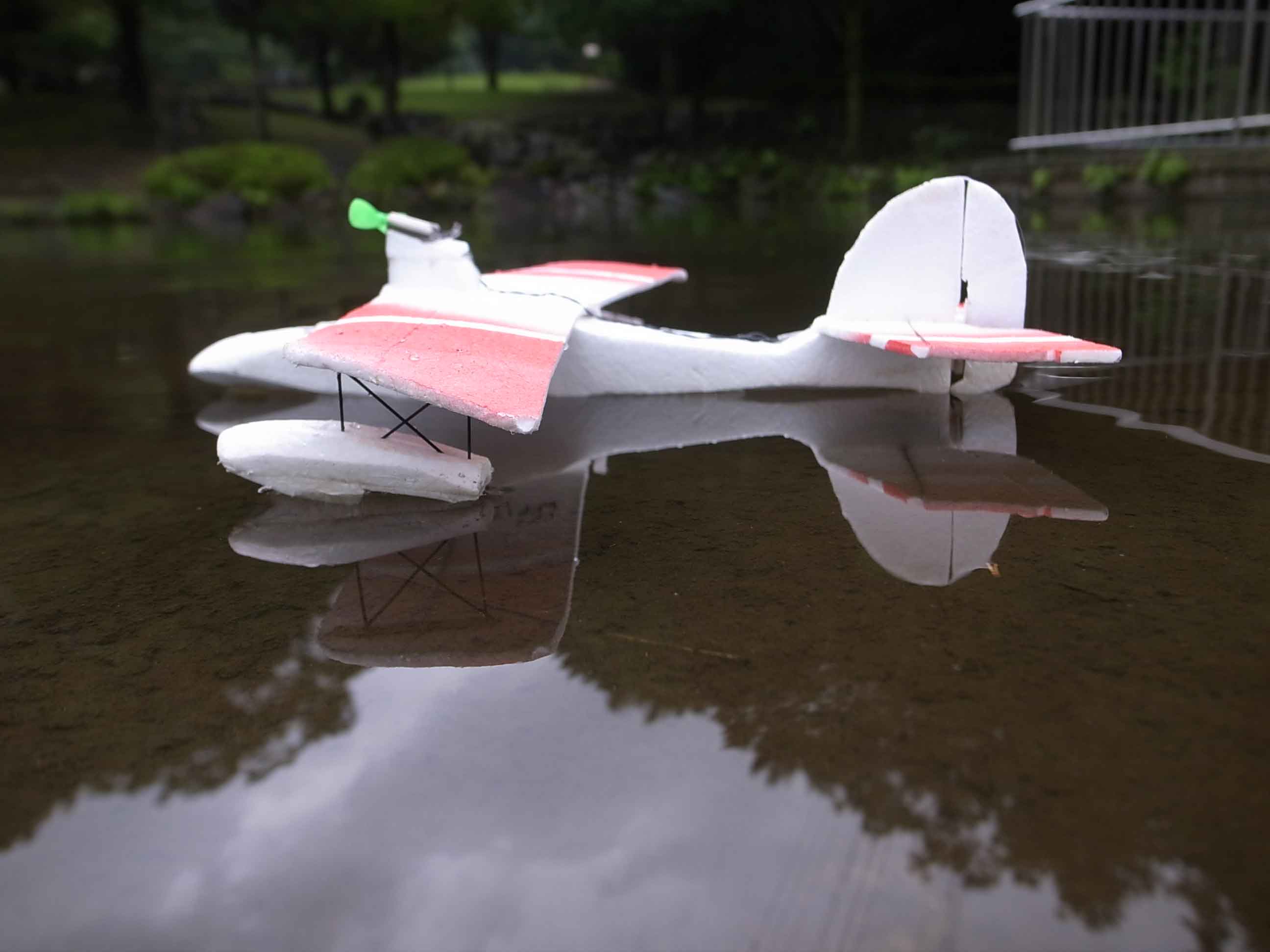 水につけてから30秒以内に離水してください。_d0067943_11454843.jpg