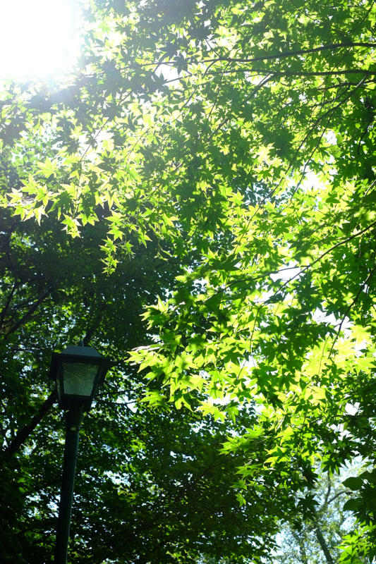 c0162846_2150976.jpg