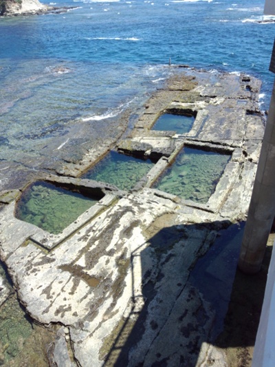 勝浦海中展望塔と海の博物館 ムサコママの育児日記 勝浦海中展望塔と海の博物館 ムサコママの育児日記