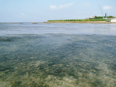c0180460_23394767.jpg
