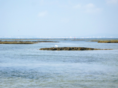 c0180460_23415235.jpg