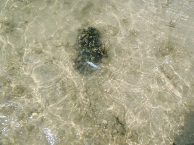 c0180460_23422729.jpg