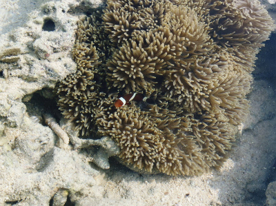 c0180460_23431597.jpg