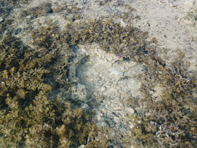 c0180460_23461251.jpg