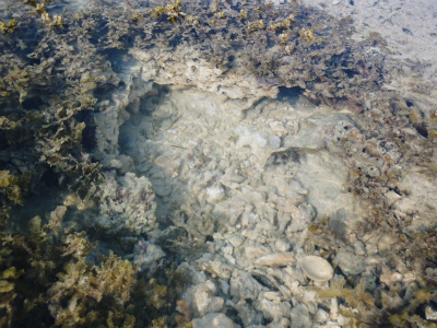 c0180460_2346339.jpg