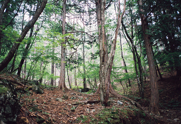 a0207672_22241618.jpg