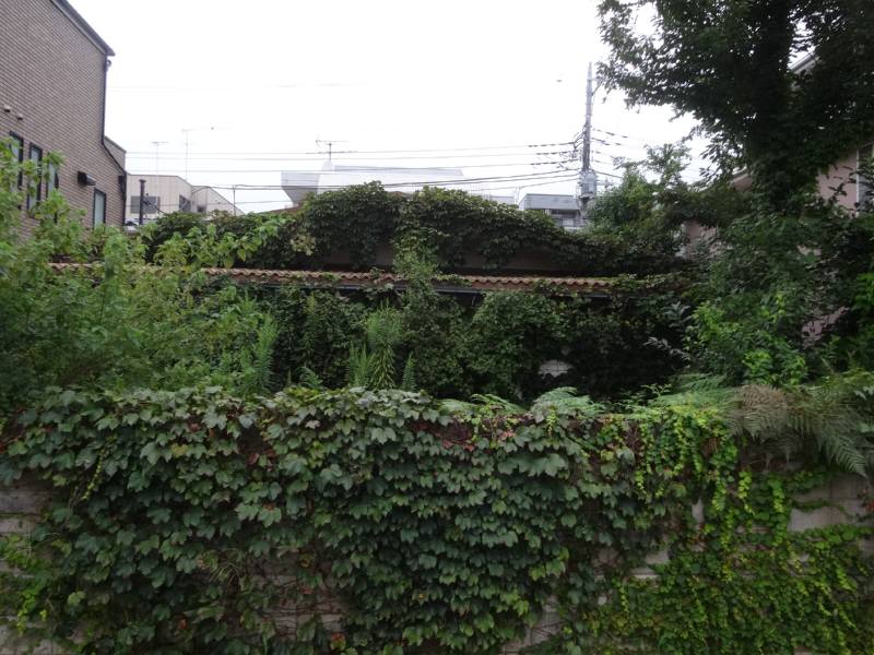 9月定例会一般質問2日目_f0059673_228239.jpg