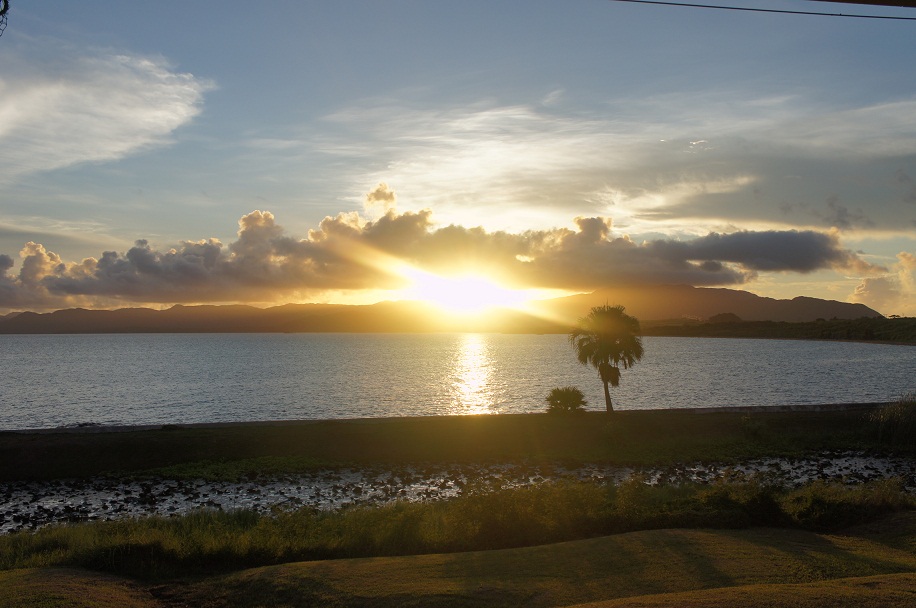 f0214479_22143210.jpg