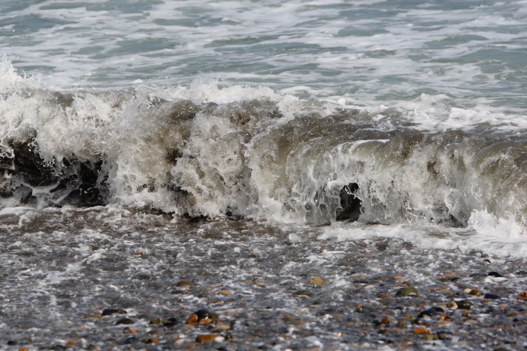 Jaws Wave 常陸のT's BLOG