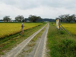9月11日の田んぼ(緑ヶ丘小・北郷小)_d0247484_16415635.jpg