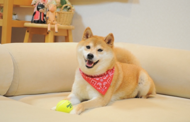 衝動買い_a0126590_00251317.jpg