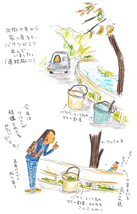 今年の生り行き_f0236291_9191746.gif