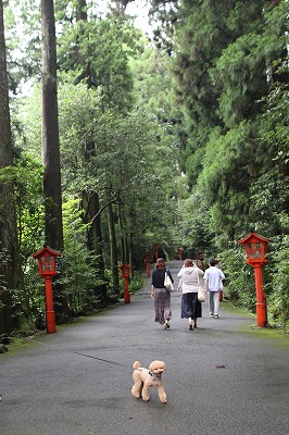 e0227996_11837.jpg