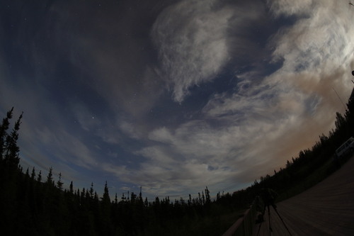 d0207297_8441595.jpg
