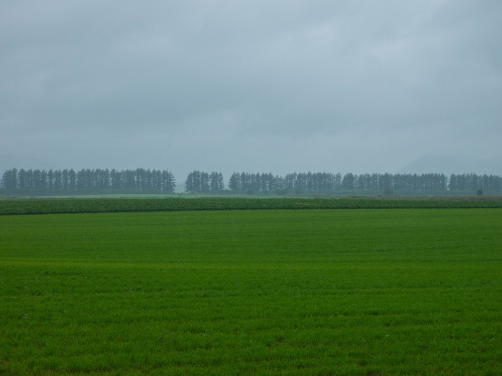 雨の１日ですが・・「中札内村農村風景」と「六花の森」_f0276498_23005173.jpg