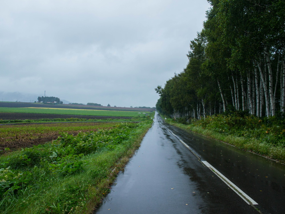 雨の１日ですが・・「中札内村農村風景」と「六花の森」_f0276498_23010416.jpg