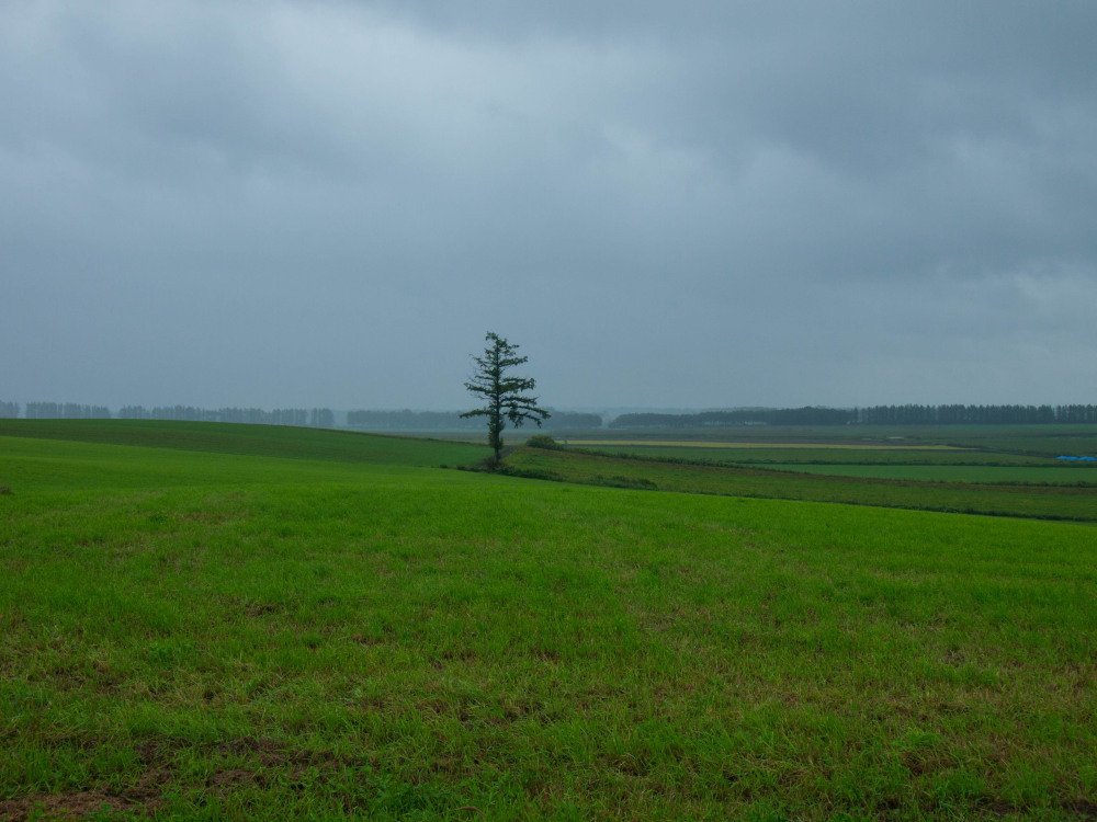 雨の1日ですが・・「中札内村農村風景」と「六花の森」_f0276498_23011612.jpg