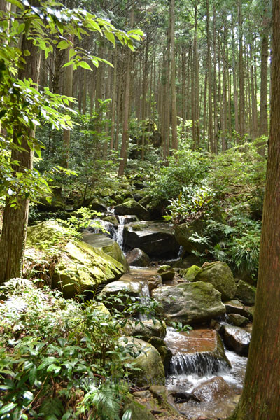 f0188600_12145048.jpg
