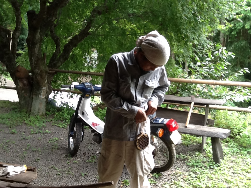 愛猫と薪集め_e0197602_15203495.jpg